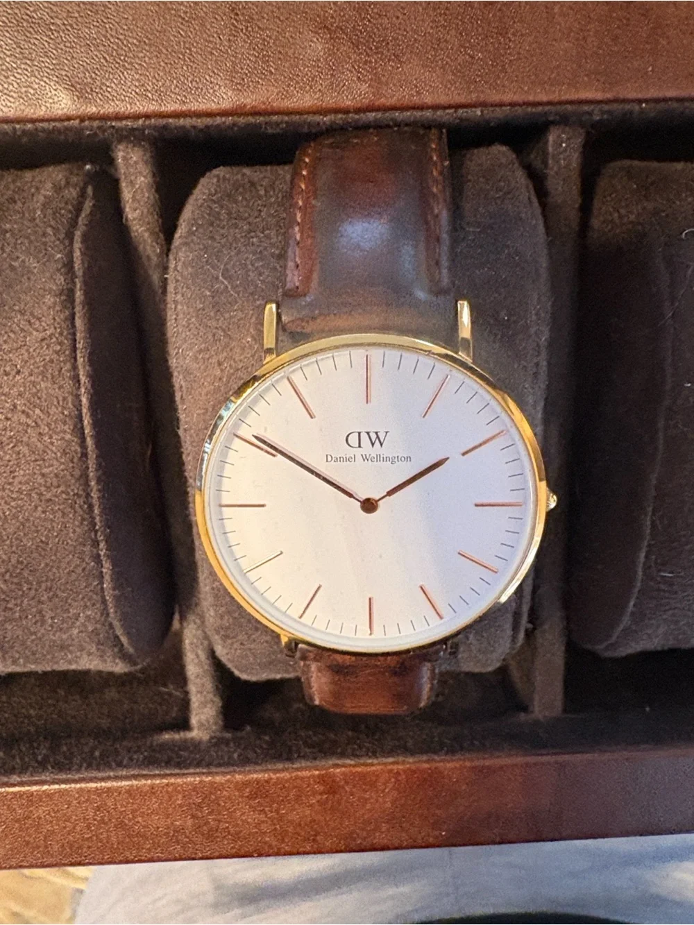 Daniel Wellington White Dial Watch with Brown Leather and Gold Case